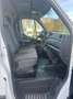 Opel Movano 2.3 D L2H2 2WD VA S&S *CAMERA*GPS*FACELIFT*2020* Wit - thumbnail 8