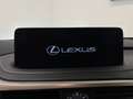 Lexus RX 450h E-four Luxury AAC KeyLess SH GPS Memory - thumbnail 21