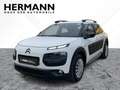 Citroen C4 Cactus 1.2 VTi / PureTech 82 Feel CAM*LED*SHZ Weiß - thumbnail 1