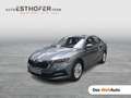 Skoda Octavia Ambition TDI Grau - thumbnail 1