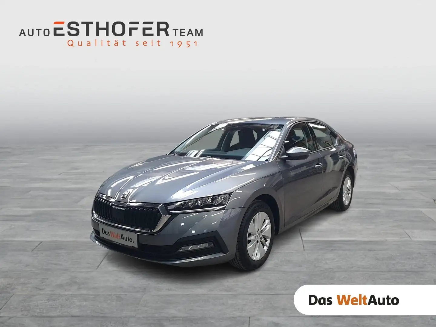 Skoda Octavia Ambition TDI Grau - 1