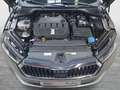 Skoda Octavia Ambition TDI Grau - thumbnail 14