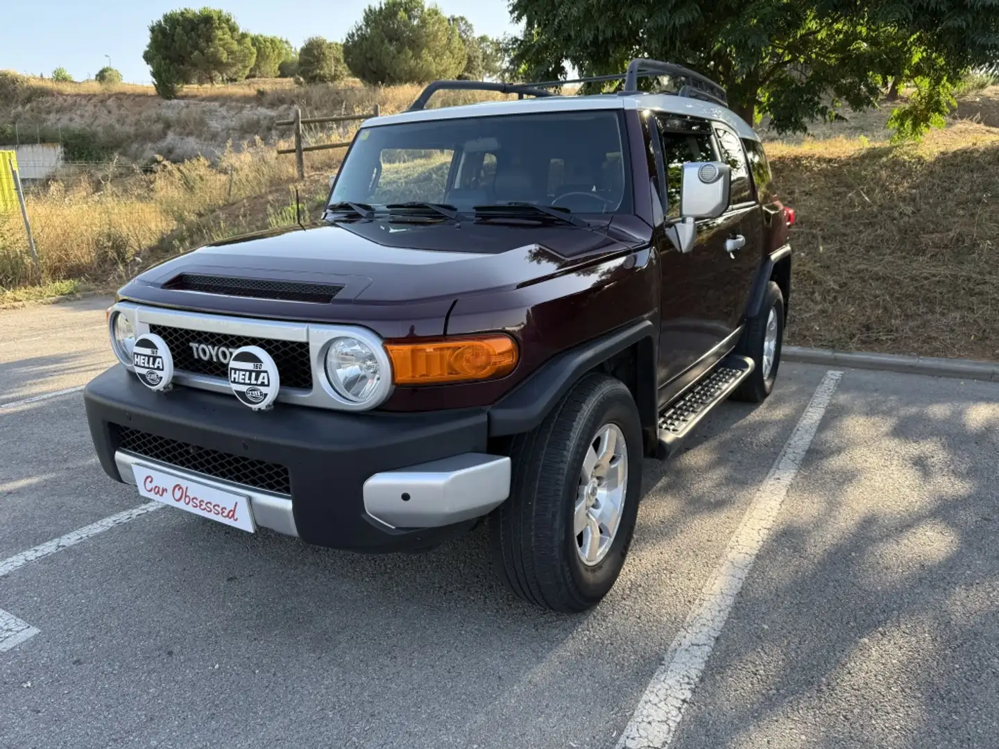 Toyota FJ Cruiser 4.0 V6 4WD Mauve - 2