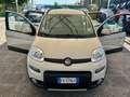 Fiat Panda " IMMACOLATA " Panda  4x4 1.3 mjt 16v 4x4 - thumbnail 14