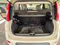 Fiat Panda " IMMACOLATA " Panda  4x4 1.3 mjt 16v 4x4 - thumbnail 19