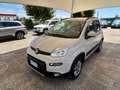 Fiat Panda " IMMACOLATA " Panda  4x4 1.3 mjt 16v 4x4 - thumbnail 9