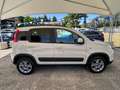 Fiat Panda " IMMACOLATA " Panda  4x4 1.3 mjt 16v 4x4 - thumbnail 12