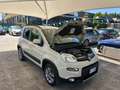 Fiat Panda " IMMACOLATA " Panda  4x4 1.3 mjt 16v 4x4 - thumbnail 15