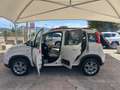 Fiat Panda " IMMACOLATA " Panda  4x4 1.3 mjt 16v 4x4 - thumbnail 6