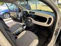 Fiat Panda " IMMACOLATA " Panda  4x4 1.3 mjt 16v 4x4 - thumbnail 25