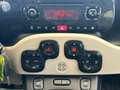 Fiat Panda " IMMACOLATA " Panda  4x4 1.3 mjt 16v 4x4 - thumbnail 29