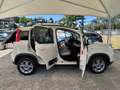 Fiat Panda " IMMACOLATA " Panda  4x4 1.3 mjt 16v 4x4 - thumbnail 5