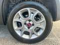 Fiat Panda " IMMACOLATA " Panda  4x4 1.3 mjt 16v 4x4 - thumbnail 18