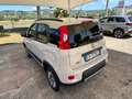 Fiat Panda " IMMACOLATA " Panda  4x4 1.3 mjt 16v 4x4 - thumbnail 2