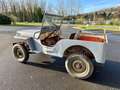 Jeep - thumbnail 12