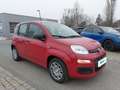 Fiat Panda 4x2 FireFly Hybrid 70 Rot - thumbnail 3