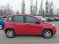 Fiat Panda 4x2 FireFly Hybrid 70 Rot - thumbnail 4