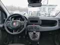 Fiat Panda 4x2 FireFly Hybrid 70 Rot - thumbnail 8