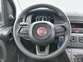 Fiat Panda 4x2 FireFly Hybrid 70 Rot - thumbnail 12