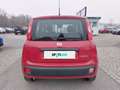 Fiat Panda 4x2 FireFly Hybrid 70 Rot - thumbnail 5