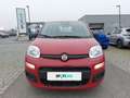 Fiat Panda 4x2 FireFly Hybrid 70 Rot - thumbnail 2
