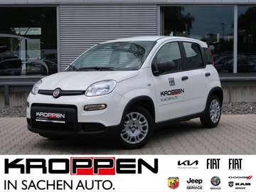 Pandina 1,0 GSE Klimaanlage PDC M+S
