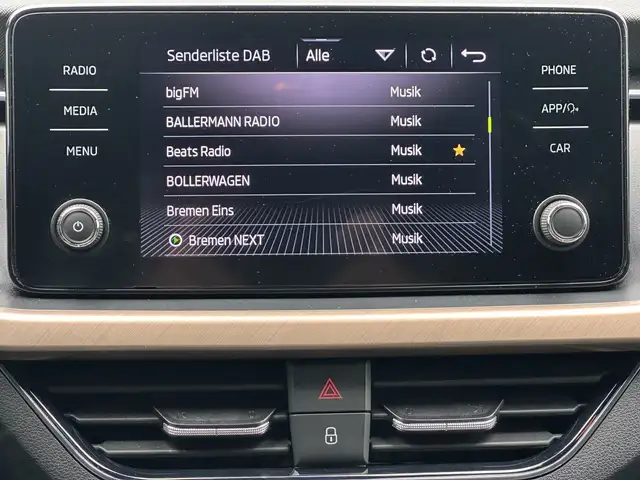 Skoda Scala view 15