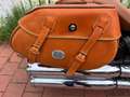 Indian Scout - thumbnail 3