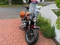 Indian Scout - thumbnail 5