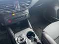 Ford Focus 2.3 l EcoBoost ST X Autom. FAHRERASSISTENZ/WINTER/ Weiß - thumbnail 17