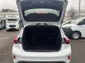 Ford Focus 2.3 l EcoBoost ST X Autom. FAHRERASSISTENZ/WINTER/ Weiß - thumbnail 9
