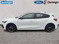 Ford Focus 2.3 l EcoBoost ST X Autom. FAHRERASSISTENZ/WINTER/ Weiß - thumbnail 2