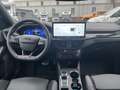 Ford Focus 2.3 l EcoBoost ST X Autom. FAHRERASSISTENZ/WINTER/ Weiß - thumbnail 15