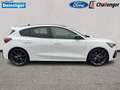 Ford Focus 2.3 l EcoBoost ST X Autom. FAHRERASSISTENZ/WINTER/ Weiß - thumbnail 6