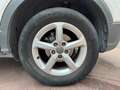 Audi Q2 30 TFSI 1.0L 116 CV Bvm6 Sport Blanc - thumbnail 10