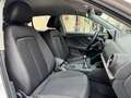 Audi Q2 30 TFSI 1.0L 116 CV Bvm6 Sport Blanc - thumbnail 15