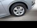 Skoda Octavia Selection TSI mHEV DSG Silber - thumbnail 7