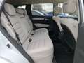 Renault Koleos BLUE dCi 185 4WD X-tronic INITIALE PARIS Weiß - thumbnail 16