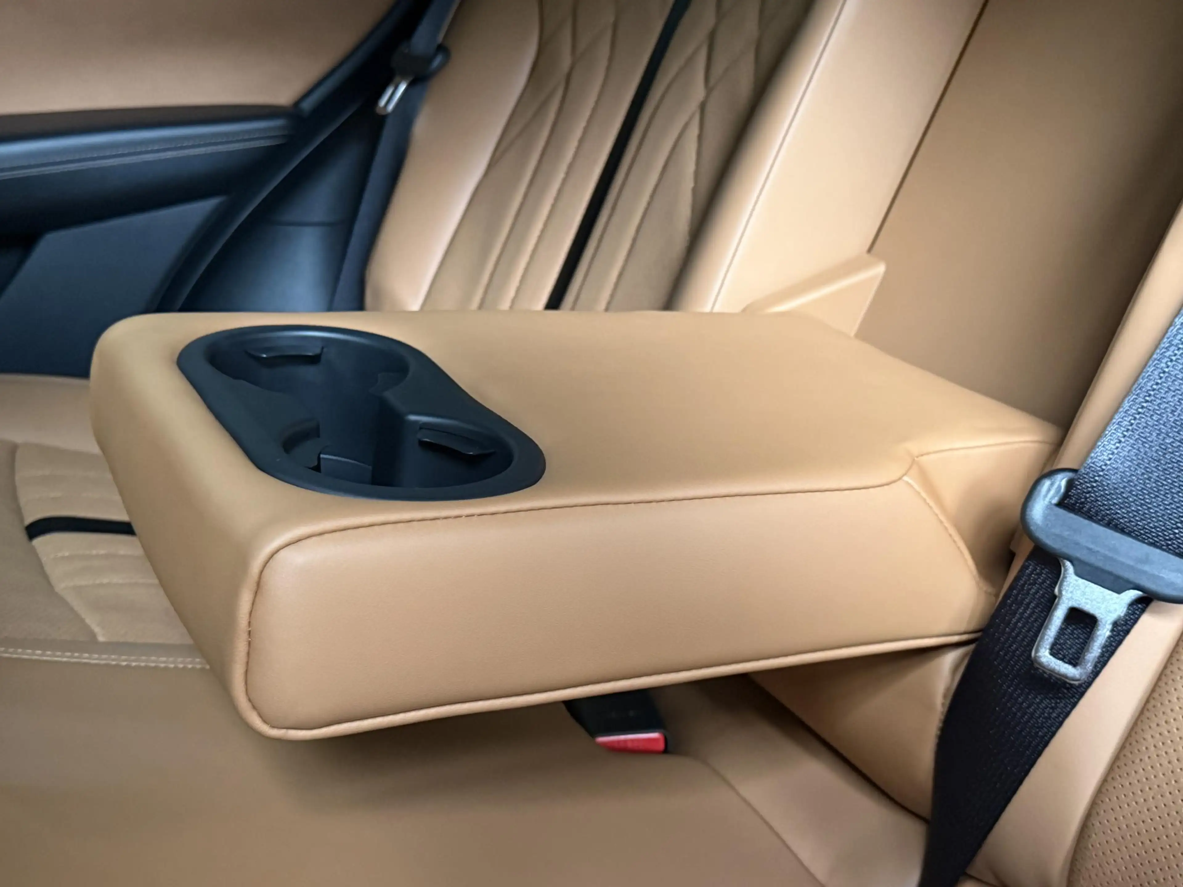 Mazda CX-60 2.5 e-SkyActiv PHEV Homura Plus | PANO | BOSE | 20 — photo 22