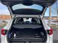 Renault Kadjar Energy dCi 130 4WD 6-Gang Bose - thumbnail 6