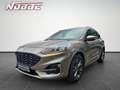 Ford Kuga 2.0 EcoBlue Hybrid ST-LINE X *Allwetter+AHK* Silber - thumbnail 1
