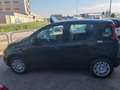 Fiat Panda PANDA my 25 1.0 Firefly 70CV Hybrid PREZZO REALE Noir - thumbnail 3