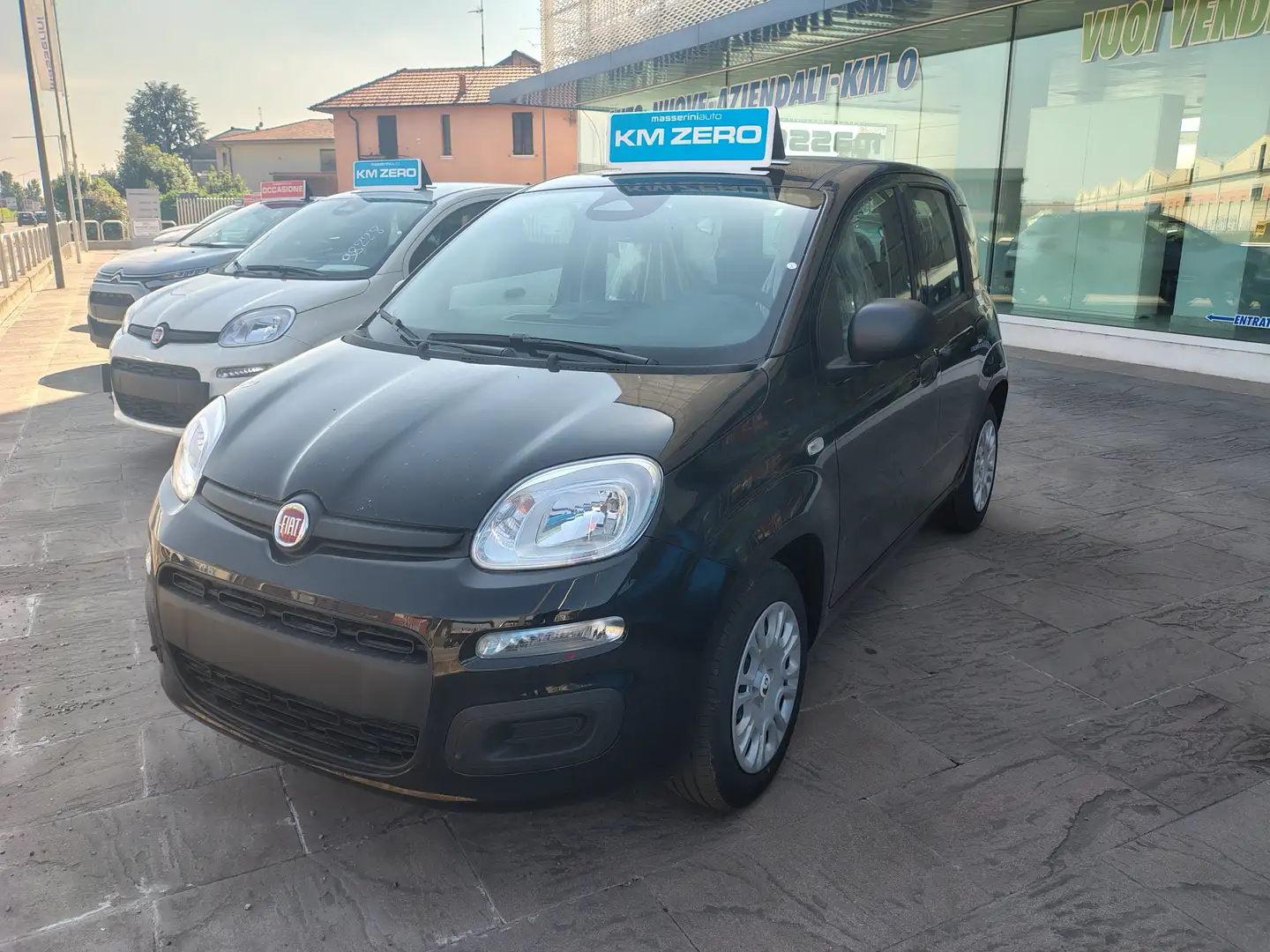 Fiat Panda PANDA my 25 1.0 Firefly 70CV Hybrid PREZZO REALE Noir - 1