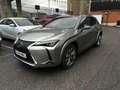 Lexus UX 300e Luxury Grau - thumbnail 1