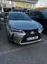 Lexus UX 300e Luxury Grau - thumbnail 3