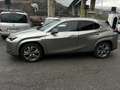 Lexus UX 300e Luxury Grau - thumbnail 2