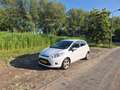Ford Fiesta Fiesta 1.25 Titanium Wit - thumbnail 3