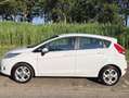 Ford Fiesta Fiesta 1.25 Titanium Wit - thumbnail 2