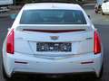 Cadillac ATS V 3.6 V6 Vollausstattung  _Motor erneuert_ Bílá - thumbnail 8