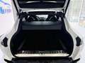 Aston Martin DBX 4.0 AWD Aut. Blanco - thumbnail 20